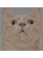 Cat (Tofu) - Piksel Bulmaca 3
