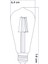 Dekoratif Rustik LED Armut Ampul E27 ST64 6W 6500K Beyaz Işık ERD-209 Tekli Beyaz Işık E27 Filament 2