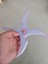 Shuriken Parmak Ucu Salyangoz 2