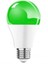 Renkli LED Ampul Yesil 6W Tekli Beyaz Işık E27 LED Ampul 6 Watt Yok 1