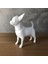 Chihuahua Düşük Poli 3