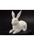 Düşük Poli Paskalya Tavşanı x / Evet Bunny Koleksiyonu x 1