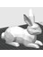 Düşük Poli Paskalya Tavşanı x / Evet Bunny Koleksiyonu x 2