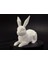 Düşük Poli Paskalya Tavşanı x / Evet Bunny Koleksiyonu x 5