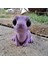 Flexi Velociraptor 2