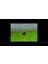 Spyro The Dragon Gems (Spyro 2 ve 3) 4