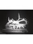 Styracosaurus Kafatası Fosil 1