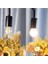 LED Rustik Ampul G45 4W 2700K Gün Işığı Noas YL92-2111 Tekli Sarı Işık E27 Rustik Ampul 4 Watt Yok A 2