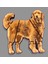 Flexi Dog (Golden Retriever) (Özelleştirilebilir Tasarım) 1