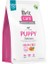 Skin&coat Tahılsız Somonlu Yavru Köpek Maması 3kg 1