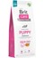Skin&coat Tahılsız Somonlu Yavru Köpek Maması 12KG 1