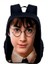 Yeni Harryy Potter Sırt Çantası Sihirli Boy's ve Girl's School Bags Bilgisayar Sırt Çantaları Outing Bags Okul Öğrenci Hediyesi: 10 (Yurt Dışından) 1