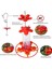 1pcs Kuş Besleyicisi 200ML Dış Mekan Için Plastik Besleyiciler, 5 Besleme Portlu Yerleşik Karınca Koruma-Düzüler Levrek ile (Yurt Dışından) 3