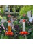 2pcs Kuş Besleyicisi 200ML Dış Mekan Için Plastik Besleyiciler, 5 Besleme Bağlantı Noktası ile Yerleşik Karınca Koruma-Düzüler Levrek ile (Yurt Dışından) 2