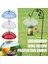 2pcs anti-squirrel kuş besleyicileri koruyucu kapak, kubbe koruyucu kubbe, asma kuş besleyicileri için yağmur koruyucu kapak, b (Yurt Dışından) 5
