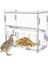 Papaz Besleyici Kutusu Akrilik Besleme Konteyneri No-Sess Çoklu Çizgi Kutusu Açık Kuş Yemek Dispenser Kutusu Finches Papağanlar (Yurt Dışından) 1