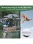 Dışarı için pencere kuş besleyicileri, 3 güçlü yapıştırıcı tabakası ile temiz kuş pencere besleyici, şeffaf akrilik kuş evi A (Yurt Dışından) 2