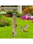 Yabani Kuş Asma Besleyici Tübüler Anti-Koşu Dış Bahçe Kuş Besleyicileri Tepsi Birdhouse Pet Su Besleyicileri Yiyecek (Yurt Dışından) 1