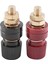 2pcs Terminal Bağlama Direği, 555 Tip Pirinç Sütun Terminal Bloğu M8 Iplik Çapı Bağlama Direği 220V-380V 200A (Yurt Dışından) 3