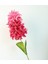 Yapay Sebboy Çiçegi Fuşya 100 cm 1