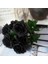 Yapay Kadife 10 Adet Gül Dalı 50 cm Siyah Lüx Ekvator Gül 1