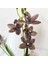Yapay Çiçek Islak Dokulu Orkide 3 Dal 45 cm Kahve 5