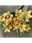 Yapay Çiçek Islak Dokulu Orkide 3 Dal 45 cm Sarı 2