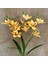 Yapay Çiçek Islak Dokulu Orkide 3 Dal 45 cm Sarı 3