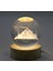 3D Kristal Cam Küre Ahşap Soketli Istanbul Temalı LED Lamba ALK2573 1