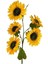 Yapay Çiçek Ayçiçeği Sarı Sunflower Dekoratif Çiçek 105CM Dev Ay Çiçeği 5 Kafalı 5