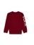 Erkek Çocuk Bordo Sweatshirt 50313831-VR014 2