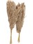 20PCS Doğal Kuru Pampas Çim, Vahşi Kabarık Pompas Çiçek, Boho Dekor Çiçekleri Açık Hava Düğün Kahverengi Için Uygun (Yurt Dışından) 2