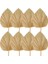 8pcs Kurutulmuş Palmiye Yaprakları Dekorasyonlar Kesilmiş Kurutulmuş Palmiye Mızrak Fanları Tropikal Kurutulmuş Düğün Çiçekleri Boho Düğün Dekoru (Yurt Dışından) 1