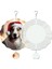 2 Paket 8 Inç Süblimasyon Rüzgar Spinner Boşlukları, 3D Çift Taraflı Süblimasyon Rüzgarla Çalışan Kinetik Heykel Bahçe Bahçesi (Yurt Dışından) 4