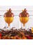 10PCS Acorn Balonlar Folyo Bebek Duş Doğum Güz Sonbahar Şükran Parti Dekorasyonları (Yurt Dışından) 3