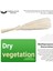 40PCS Doğal Kurutulmuş Beyaz Pampas Çim 45CM Kabarık ve Sallanan Diy Boho Bitki Düğün Çiçek Aranjmanları Dekor (Yurt Dışından) 5