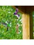 Lekeli Kuş Suncatcher, Kuş Kristal Top Prizmaları Asılı Kristal Süsleme Yeşil Çanlar (Yurt Dışından) 2