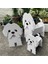Çizgi Film Evcil Köpek Flowerpot Monte Edilebilir Köpek Saksı Çoklu Evcil Köpek Irkları Bahçe Pot M (Yurt Dışından) 4
