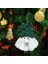 Noel Süs Seti, 2pcs Noel Ağacı Asma Süsler Süslemeleri Noel Baba Süsleri (Yurt Dışından) 4