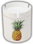 Ananas Baskılı Küllük Kül Tablası 1