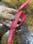 80X2 cm Nakış Pul Işleme Pembe Şerit Osmanlı Şerit Dikiş Aksesuarı 2