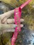 80X2 cm Nakış Pul Işleme Pembe Şerit Osmanlı Şerit Dikiş Aksesuarı 3