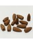 Darshan Incense Myrrh Frankincense Geri Akış (Back Flow) Tütsü 10 Adet 2