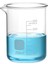 Beher Cam 250 ml / Kısa Form 1