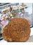 Glutensiz Hamburger Ekmeği 1