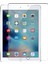 iPad Mini 5 Tablet Cam Ekran Koruyucu 1