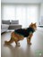 Sarı Kedi Baskılı Kışlık Siyah Kedi Köpek Kıyafeti Elbisesi 5
