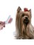 Buffer® Paslanmaz Evcil Hayvan Kedi Köpek Tüy Tarama Toplama Fırçası Kolay Temizlenir Bakım Aleti -M11 2