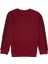 Erkek Çocuk Bordo Sweatshirt 50316537-VR014 2