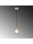 Cat Tekli Tel Sarkıt Avize Parlak Gold, Modern Dekoratif Metal Lamba CAT-12060 5
